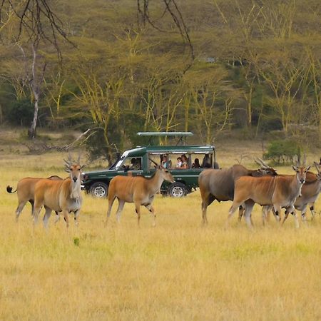 Lake Elmenteita Serena Camp 외부 사진