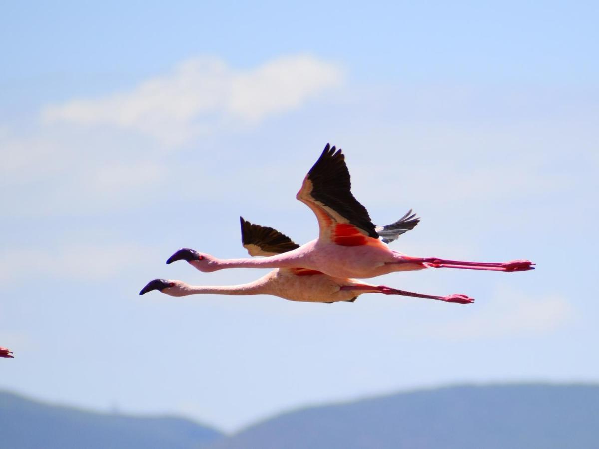 Lake Elmenteita Serena Camp 외부 사진