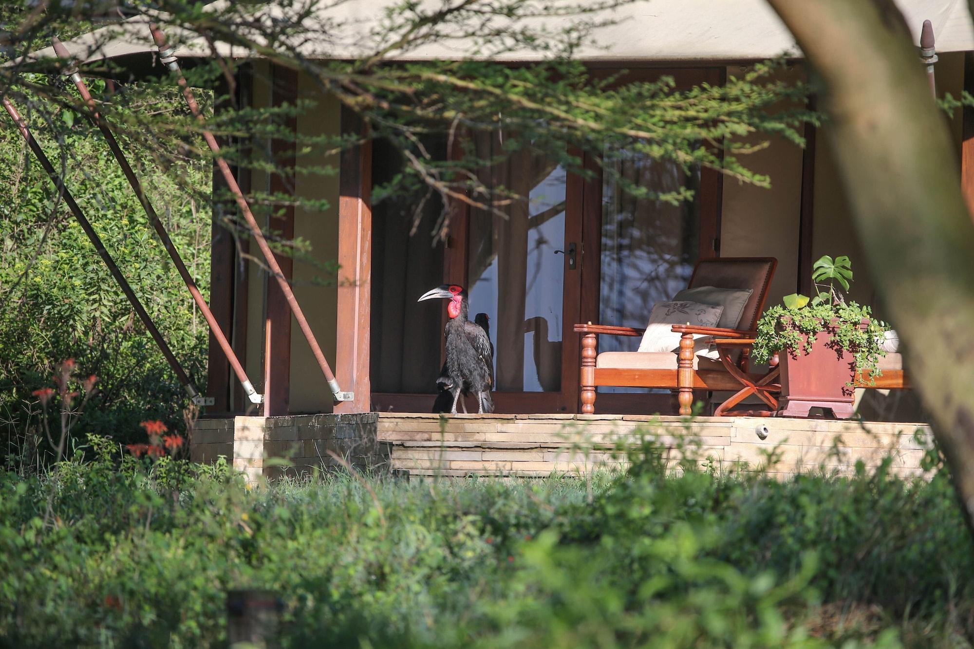 Lake Elmenteita Serena Camp 외부 사진